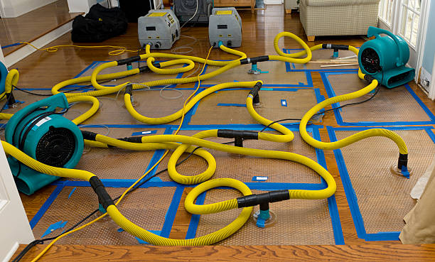 Professional Emergency Water Removal technician working in Pipe Creek, TX